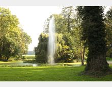 Ein Park mit einer grünen Wiese, einem kleinen Teich und einem hohen Springbrunnen in der Mitte, umgeben von Bäumen, darunter eine große Trauerweide. Im Vordergrund steht ein mit Efeu bewachsener Baumstamm.