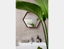 Modern bathroom vanity with a white sink and chrome faucet against a light terrazzo-tile wall, featuring a hexagonal wooden-framed mirror above. Large green plant leaves partially frame the view, with soap and toiletry bottles on the countertop.