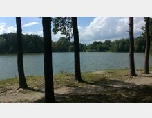 Blick auf einen See mit ruhiger Wasseroberfläche, umgeben von dichter, grüner Vegetation. Im Vordergrund stehen mehrere schlanke Baumstämme auf sandigem Boden.