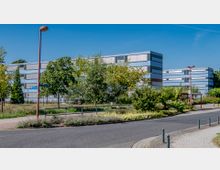 Ein modernes Bürogebäude mit einer horizontalen Metall- und Glasfassade, umgeben von Bäumen und Grünflächen. Im Vordergrund verlaufen eine Straße, ein Gehweg und eine kleine Haltestelle mit Überdachung.