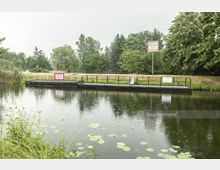 Steg mit der Beschilderung „Sportboot-Liegestelle“ an einem ruhigen Gewässer, umgeben von Schilf und Bäumen im Hintergrund, bei leicht regnerischem Wetter.