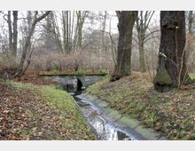 Kleiner Bach in einem bewaldeten Park, der durch ein aus Stein gebautes Rundbogen-Gewölbe fließt. Der Boden ist mit Laub bedeckt, und die Bäume haben überwiegend kahle Äste, typische für die Herbst- oder Winterzeit.