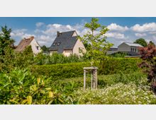 Ein Garten mit dichtem Grün, blühenden Pflanzen und einem jungen Baum auf einem Holzgestell im Vordergrund. Im Hintergrund sind mehrere Häuser mit verschiedenen Dachformen und Farben sowie ein blauer Himmel mit einigen Wolken zu sehen.