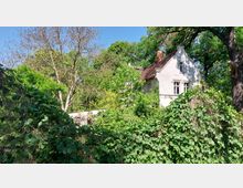 Ein kleiner, weißer Altbau mit schrägem Ziegeldach steht teilweise verborgen hinter dichtem, grünem Bewuchs und Bäumen in einer ländlichen Umgebung. Im Vordergrund sind überwucherte Pflanzen und Sträucher zu sehen, während der blaue Himmel das Bild abrundet.