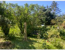 Blick in einen üppig bewachsenen Garten mit Rasenfläche, dichtem Strauch- und Baumbestand sowie einer dunklen Holzbank im Schatten. Im Vordergrund steht ein einzelner Holzpfosten, umgeben von Wildwuchs und vereinzelten Blüten.