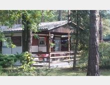 Ein kleines Gartenhaus mit überdachter Veranda, Holzverkleidung und weißen Wänden, umgeben von hohen Bäumen und dichter Vegetation in einem waldähnlichen Umfeld. Auf der Veranda stehen Gartenmöbel, und eine Wäscheleine ist gespannt.