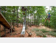 Ein Kletterpark in einem dichten Wald mit hohen Bäumen, Plattformen und Seilbrücken in verschiedenen Höhen. Im Vordergrund ist eine Rutsche und eine Person auf einer Seilrutsche zu sehen, umgeben von herabgefallenem Laub.