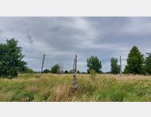 Eine Graslandschaft unter wolkigem Himmel mit vereinzelten Bäumen im Hintergrund. In der Bildmitte steht ein kunstvoll verzierter Holzpfahl, flankiert von zwei schlichten Holzstämmen.