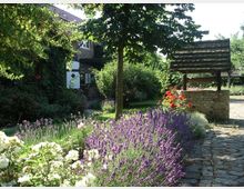 Garten eines ländlichen Hauses mit blühendem Lavendel, Rosen und anderen Pflanzen entlang eines Steinwegs. Im Hintergrund ein alter gemauerter Brunnen mit Holzüberdachung und ein teilweise von Efeu bewachsenes Backsteingebäude.