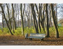Parklandschaft mit laubabwerfenden Bäumen im Herbst, einer grünen Parkbank und einem Papierkorb im Vordergrund. Der Boden ist mit herabgefallenem Laub bedeckt, und im Hintergrund sind spärlich belaubte Bäume zu sehen.