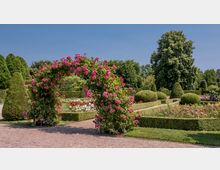 Eine gepflegte Gartenanlage mit einem Rosenbogen aus leuchtend pinken Blüten im Vordergrund, umgeben von geschnittenen Hecken und buchskugelähnlichen Sträuchern. Im Hintergrund stehen größere Bäume vor einem klaren, blauen Himmel.