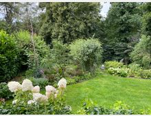 Ein Garten mit einer gepflegten Rasenfläche, umgeben von dichtem Strauch- und Baumwerk. Im Vordergrund sind weiße Hortensien sichtbar, während im Hintergrund zwei Gartenstühle zwischen üppiger Vegetation stehen.