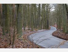 Eine schmale, asphaltierte Straße führt durch einen Wald mit kahlen Bäumen und Laub am Boden. Am Straßenrand steht ein Verkehrsschild, das auf Wildwechsel hinweist.
