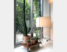 Indoor corner by a floor-to-ceiling glass door, with several potted cacti and succulents arranged on a low wooden cart with caster wheels. Outside the glass is a small patio with chairs and dense greenery, and inside there is a white floor lamp and vertical radiator along the wall.