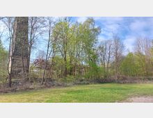 Industriegelände mit verwilderter Vegetation, einem hohen, alten Schornstein und rostigen Metallstrukturen, umgeben von dichtem Baumbewuchs. Im Vordergrund befindet sich eine Grünfläche, die von einem Zaun begrenzt wird.