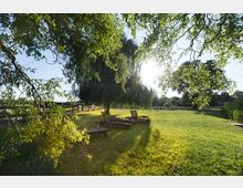 Weite grüne Wiese mit einem großen Weidenbaum im Mittelpunkt, darunter mehrere Holzliegen. Im Hintergrund sind ein Holzzaun, Bäume und mehrere landwirtschaftliche Gebäude sichtbar.