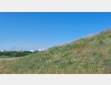 Ein grasbewachsener Hügel mit vereinzelten Wildblumen im Vordergrund, im Hintergrund eine industrielle Anlage mit Schornsteinen und einem Kühlturm vor klarem, blauem Himmel.
