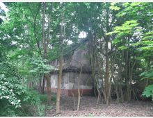 Ein altes, verfallenes Gebäude mit teilweise beschädigter Fassade, umgeben von dichtem Wald mit hohen Bäumen und Bodengewächsen. Im Vordergrund sind blühende Sträucher und Laub zu sehen.