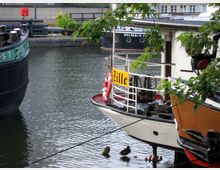 Ein kleiner Hafenbereich mit mehreren Booten, darunter ein weißes Boot mit dem Namen „Zille“ auf einem gelben Schild. Im Vordergrund ragen Baumzweige ins Bild, und zwei Enten schwimmen auf dem Wasser.