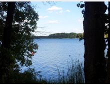 Ein ruhiger See mit blauem Wasser, umgeben von Bäumen und Schilf im Vordergrund, während im Hintergrund eine bewaldete Uferlinie sichtbar ist. Zwei Enten schwimmen auf der Wasseroberfläche, und am linken Rand ist eine rote Boje zu erkennen.