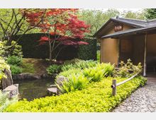 Japanischer Garten mit einem kleinen Teich, umgeben von Farnen, roten und grünen Ahornbäumen sowie dichtem Buschwerk. Rechts im Bild befindet sich ein traditionelles Gebäude mit Holzdach und sichtbarem Eingang, flankiert von einem gepflasterten Weg und einer Bambus-Abgrenzung.