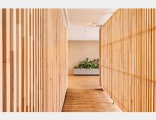 Ein moderner Gang mit Holzlamellenwänden auf beiden Seiten, einem hellen Holzboden und einem Pflanzkübel mit grüner Vegetation am Ende des Flurs. Die Decke ist flach mit mehreren eingelassenen Deckenspots zur Beleuchtung.