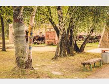 Ein Park mit mehreren Birken, von denen einige mit gestrickten oder gehäkelten Stoffen umwickelt sind, im Hintergrund alte Gleise mit rostigen Waggons und einer Lokomotive. Rechts im Bild befinden sich eine Holzbank und ein Mülleimer.
