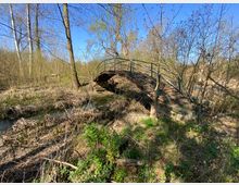 Kleine, bogenförmige Fußgängerbrücke aus Holz mit grünem Metallgeländer über einem schmalen Bach. Die Brücke liegt in einer naturnahen Auenlandschaft mit trockenem Schilf, niedrigen Sträuchern und kahlen Bäumen unter blauem Himmel.