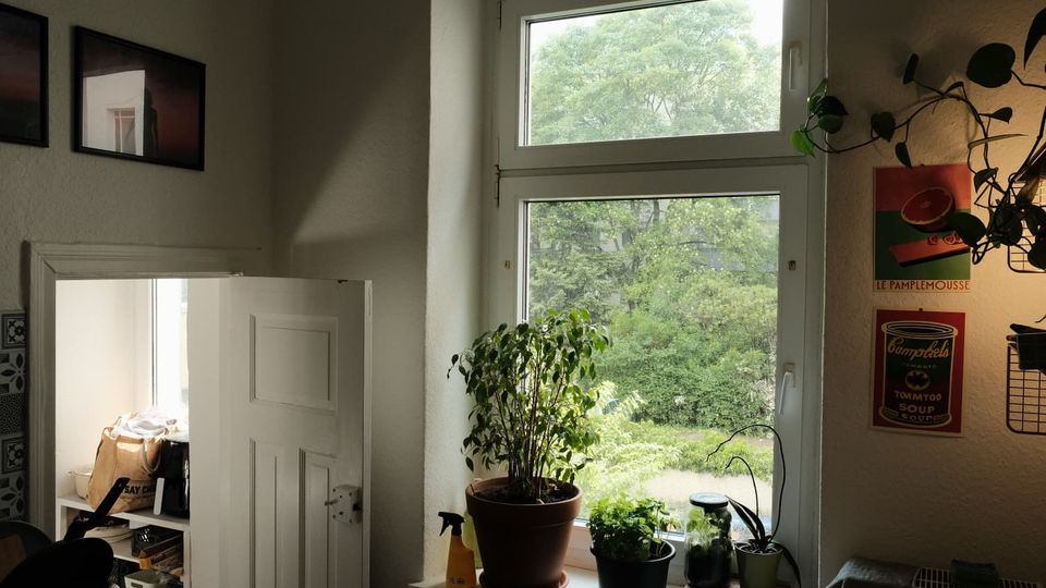 Heller Innenraum mit großem Doppelfenster und Blick auf grüne Bäume; auf der Fensterbank stehen mehrere Topfpflanzen. Links ist eine geöffnete weiße Tür mit angrenzendem Regal zu sehen, rechts hängen Poster und eine Hängepflanze an der Wand.