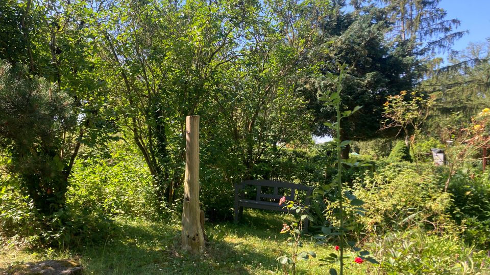 Blick in einen üppig bewachsenen Garten mit Rasenfläche, dichtem Strauch- und Baumbestand sowie einer dunklen Holzbank im Schatten. Im Vordergrund steht ein einzelner Holzpfosten, umgeben von Wildwuchs und vereinzelten Blüten.