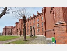 Backsteinbau eines historischen Gebäudes mit hohen, schmalen Fenstern und turmähnlichen Elementen. Im Vordergrund stehen kahle Bäume und ein Gehweg aus Kopfsteinpflaster, daneben eine Grünfläche.