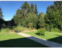 Garten mit einer Rasenfläche, einem gepflasterten Weg und einem kleinen Teich, umgeben von blühenden Pflanzen und großen, dichten Bäumen im Hintergrund. Die Szene ist sonnig, mit klarem Himmel.