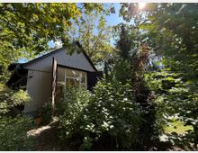 Einfamilienhaus mit einer hellgrauen Holzfassade und großen Fenstern, umgeben von dichtem, grünem Laub und Bäumen, mit Kopfsteinpflasterweg im Vordergrund und Sonnenlicht, das durch die Bäume fällt.