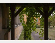 Holzpergola mit herabhängenden grünem Laub, das einen Blick auf eine historische gelbe Gebäudefassade mit Säulen und einem begrünten Außenbereich freigibt. Die Szene zeigt einen gepflasterten Weg und gepflegte Sträucher im Vordergrund.