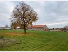 Weite Wiese mit einem großen Baum in der Mitte, dessen Blätter größtenteils gefallen sind. Im Hintergrund steht ein Bauernhof mit Gebäuden aus Stein und roten Dächern, sowie vereinzelten Bäumen unter einem bewölkten Himmel.