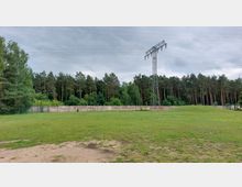 Weite Wiese mit Gras und kahlen Stellen im Vordergrund, dahinter eine Betonmauer und ein Wald aus hohen Kiefern. Rechts ragt ein Strommast mit Stromleitungen in den Himmel, der bewölkt ist.