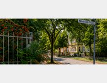 Straßenszene mit Kopfsteinpflaster, gesäumt von Bäumen und einem gelben Wohngebäude mit Rundbögen im Hintergrund. Im Vordergrund befindet sich ein schmiedeeiserner Zaun mit roten Beeren sowie ein Straßenschild mit der Aufschrift „Rüdesheimer Straße“.