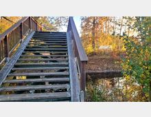 Holztreppe mit Geländer, die über ein kleines Gewässer führt, umgeben von herbstlicher Vegetation; im Hintergrund ein kleines Haus unter Bäumen sichtbar.