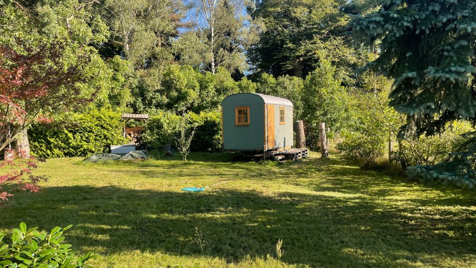 Großer, sonniger Garten mit gemähter Rasenfläche, umgeben von dichtem Baumbestand und Sträuchern. In der Mitte steht ein kleiner grüner Bauwagen mit Runddach und Holzfenstern auf einer niedrigen Holzplattform.