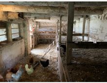 Ein rustikaler Hühnerstall mit weißen und braunen Hühnern, die sich auf einem mit Stroh bedeckten Boden bewegen. Links befinden sich Fenster mit Holzrahmen, während im Hintergrund mehrere Nistkästen in einer Holzstruktur sichtbar sind.