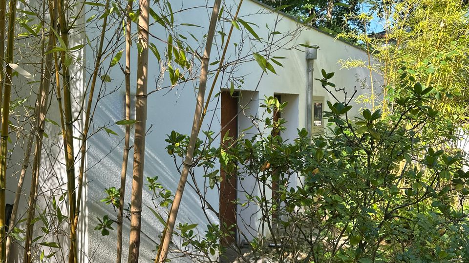 Weißes, flach gedecktes Gebäude mit schlichter Fassade und zwei braunen Türen, teilweise von dichtem Bambus und Sträuchern verdeckt. Die Umgebung ist ein schattiger Gartenbereich mit viel Grün und hohen Bäumen im Hintergrund.
