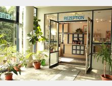 Heller Eingangsbereich eines Hotels mit großen Fenstern und zahlreichen Topfpflanzen. Im Hintergrund ist eine geöffnete Glastür, die zur Rezeption mit blau-beigen Schränken und einem Empfangstresen führt.