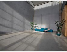 Minimalistischer Innenraum mit einer grauen Betonwand, großen Fensterflächen, die Schatten werfen, und einer niedrigen, türkisfarbenen Couch mit Kissen. Daneben stehen zwei große Zimmerpflanzen in modernen Töpfen sowie ein runder Couchtisch auf einem kleinen Teppich.