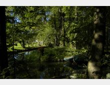 Waldlandschaft mit einem schmalen, ruhig fließenden Gewässer, umgeben von dichtem Laubwerk und hohen Bäumen. Am Ufer liegen kleine Boote im Schatten, und vereinzeltes Sonnenlicht bricht durch das Blätterdach.