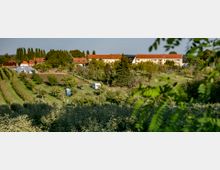 Ländliche Umgebung mit Wiesen, Obstbäumen und landwirtschaftlichen Flächen im Vordergrund. Im Hintergrund befinden sich mehrere Wohngebäude mit roten Ziegeldächern, umgeben von Bäumen und Büschen.