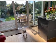 Wohnküche mit Holzboden, bodentiefen Glas-Schiebetüren und Blick auf eine Terrasse aus Holz, die in einen grünen Garten mit Gartenmöbeln übergeht. Ein kleiner Hund steht im Raum, und auf der Kücheninsel steht eine Vase mit bunten Tulpen.