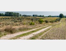 Landschaft mit einem Feldweg, der durch eine offene, von Gräsern, Sträuchern und jungen Bäumen bewachsene Ebene verläuft, rechts daneben ein landwirtschaftlich bestelltes Feld; im Hintergrund eine Baumreihe am Horizont.