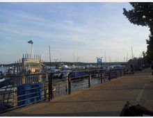 Ein Yachthafen mit Segelbooten an einem Steg, umgeben von Geländern, mit einem Spazierweg rechts und Bäumen im Hintergrund. Der See ist von Wald umgeben, und am Horizont ist ein Sendeturm sichtbar.