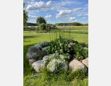 Eine gepflegte Gartenlandschaft mit einer Blumeninsel aus weißen Blüten, Gras und umrandenden Steinen. Im Hintergrund weite Wiesen, einzelne Bäume und ein blauer Himmel mit vereinzelten Wolken.