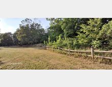 Große, offene Wiese mit trockenem Gras, begrenzt von einem geschwungenen Holzzaun. Dahinter dichter Baumbestand und üppiges Buschwerk am Waldrand unter hellem Himmel.